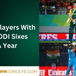 LIST of players who hit most odi sixes in a single year.